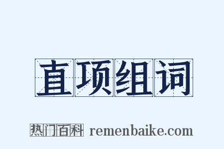 直项组词是什么意思的图片